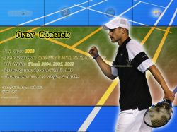 Andy Roddick Titles Info